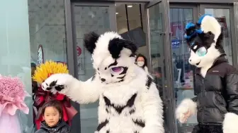 Video herunterladen: 【Fursuit兽装】坏心眼小老虎