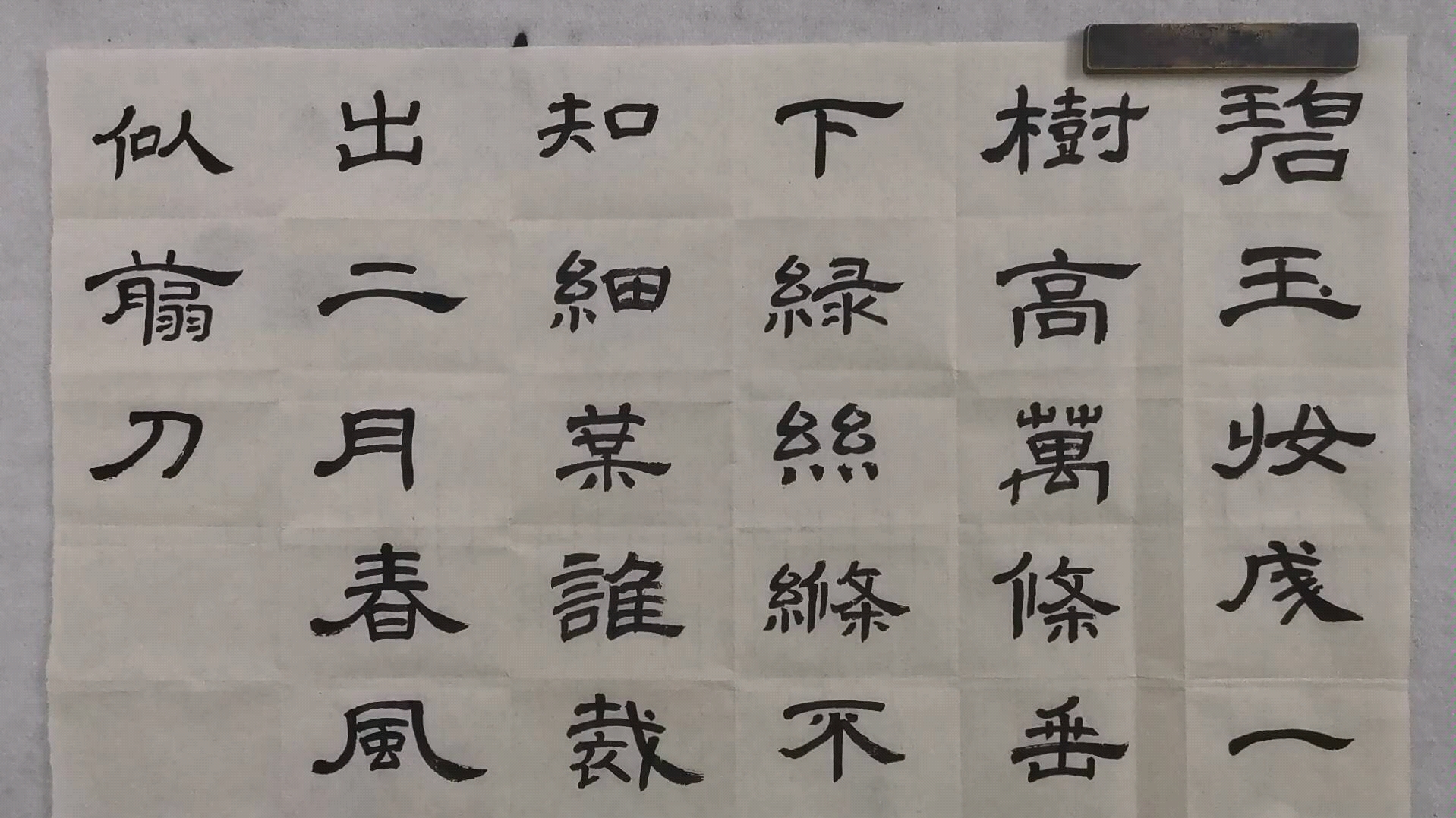 隶书书写打卡,咏柳～贺知章