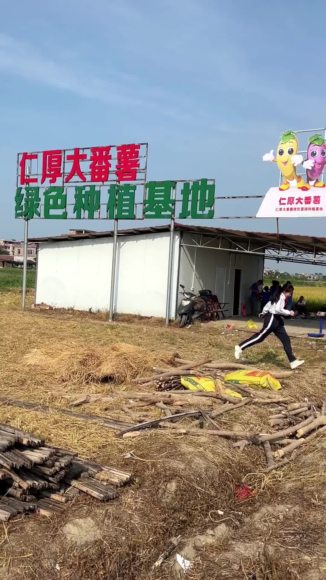 11月26号27号玉林市仁厚番薯节肉蛋哥邀你来做红薯窑与你不