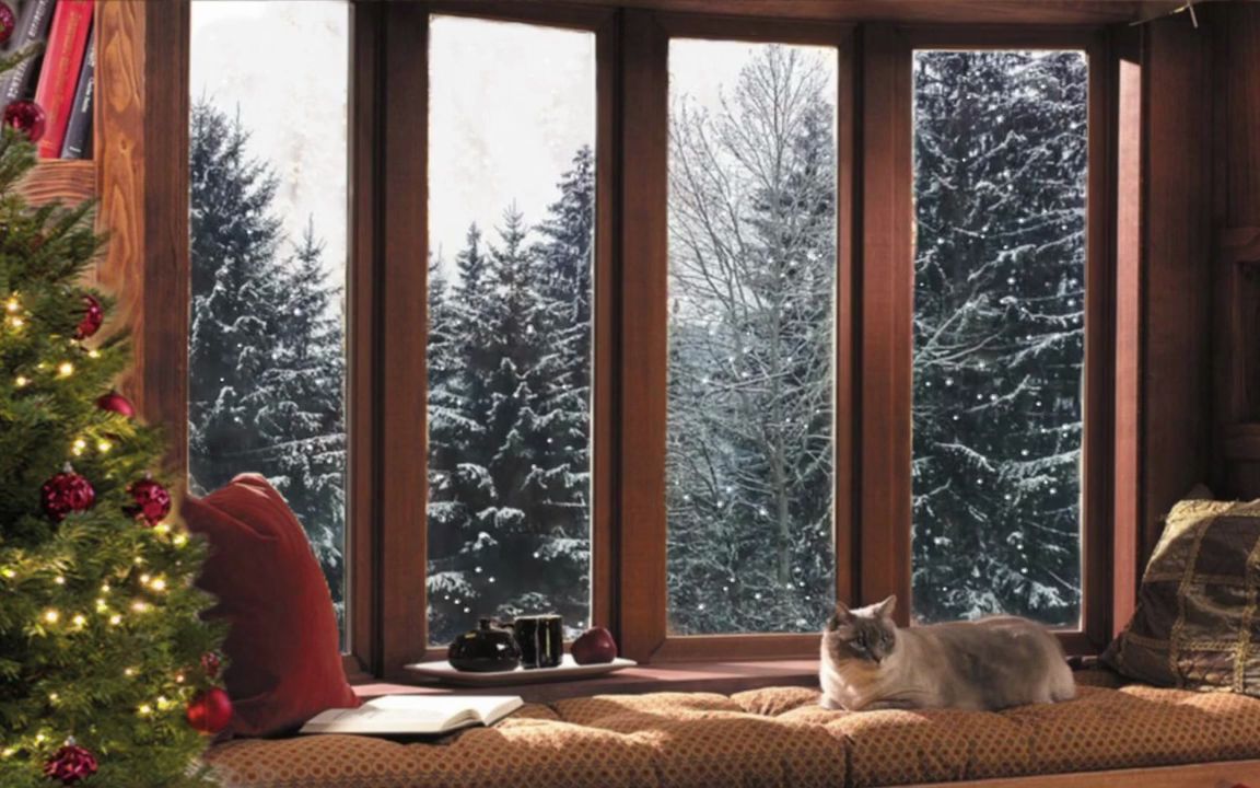白噪音圣诞雪天有猫咪陪伴的窗边氛围音风雪声壁炉声高清720p白噪音