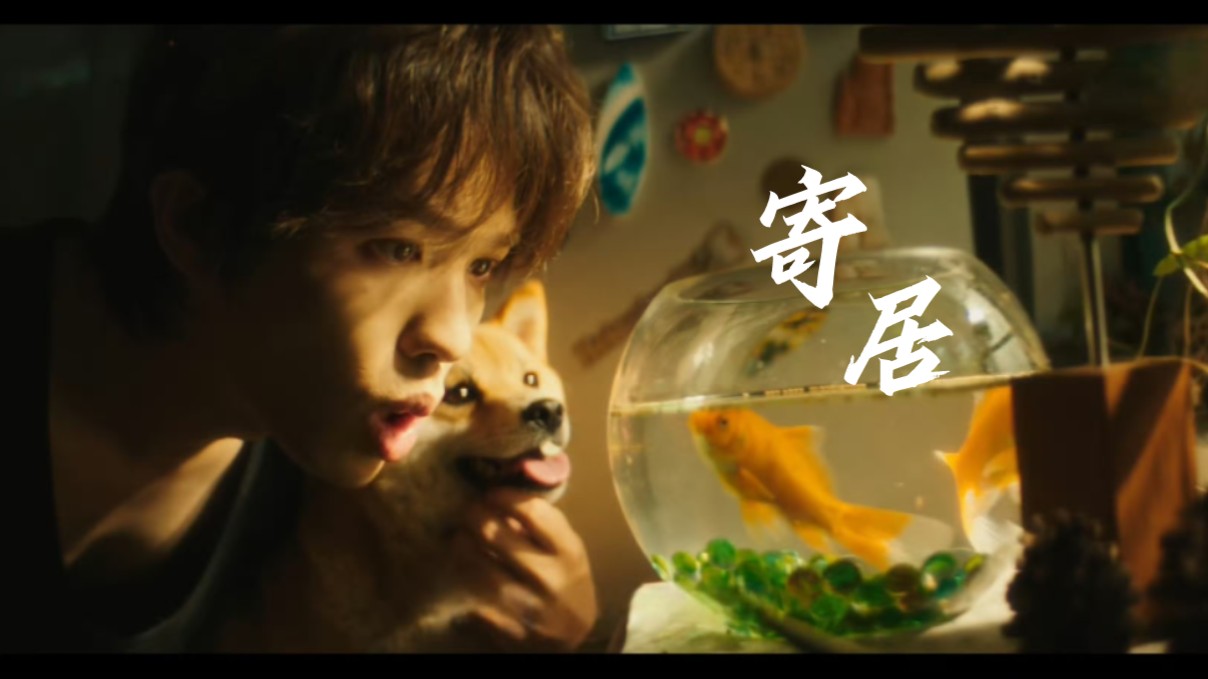 【李昊】8.30《寄居》mv完整版,真的很震撼,细节满满,直接一整个反复观看呜呜呜哔哩哔哩bilibili