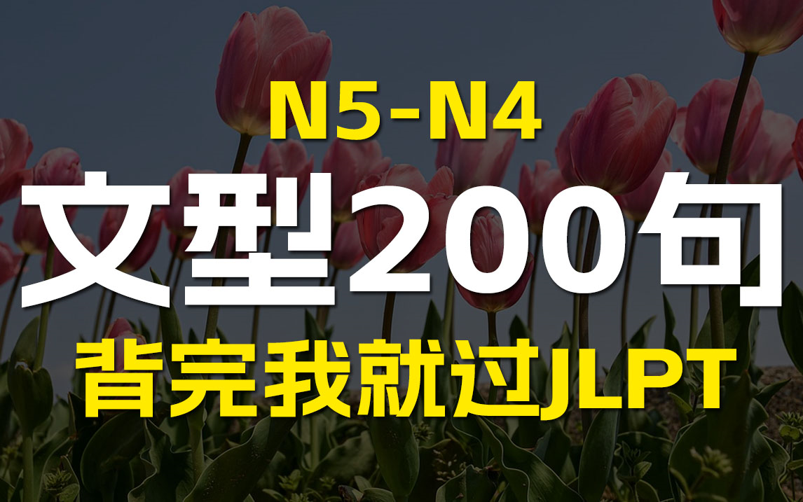 [图]N5-N4文型200句，背完我就过JLPT ,考这200句，再也不用担心考不过了