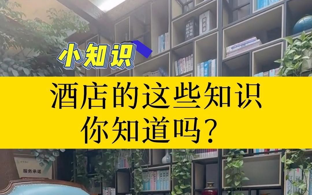 酒店的这些知识你知道吗?哔哩哔哩bilibili