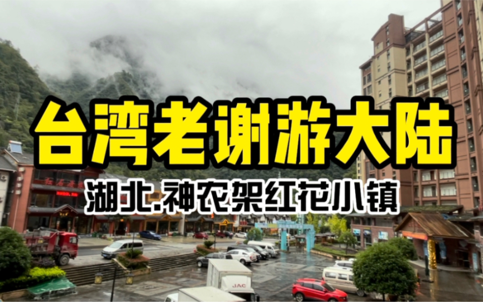 台湾老谢赴湖北神农架志愿者宣讲最终站,红花小镇我来啦~~哔哩哔哩bilibili