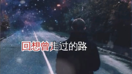 懂我的人在哪