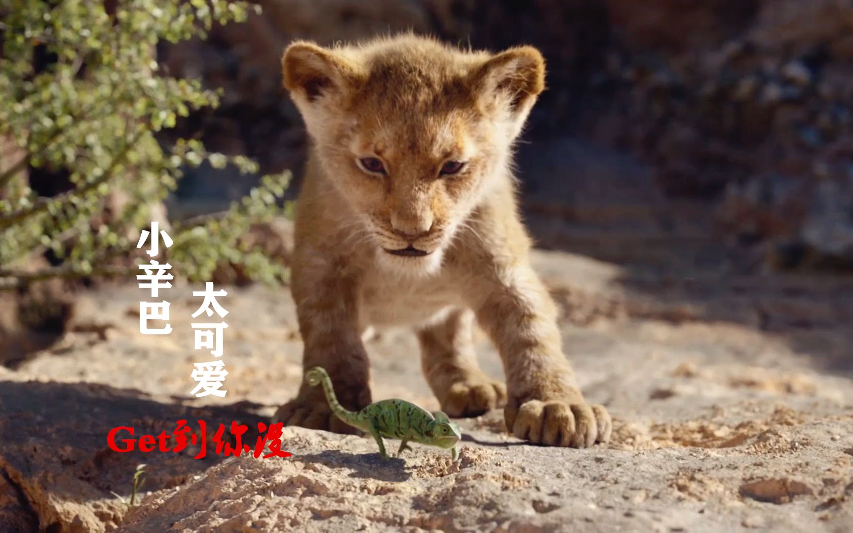 新版本《狮子王》:辛巴贪玩害死父亲,叔叔刀疤是来自天堂的魔鬼