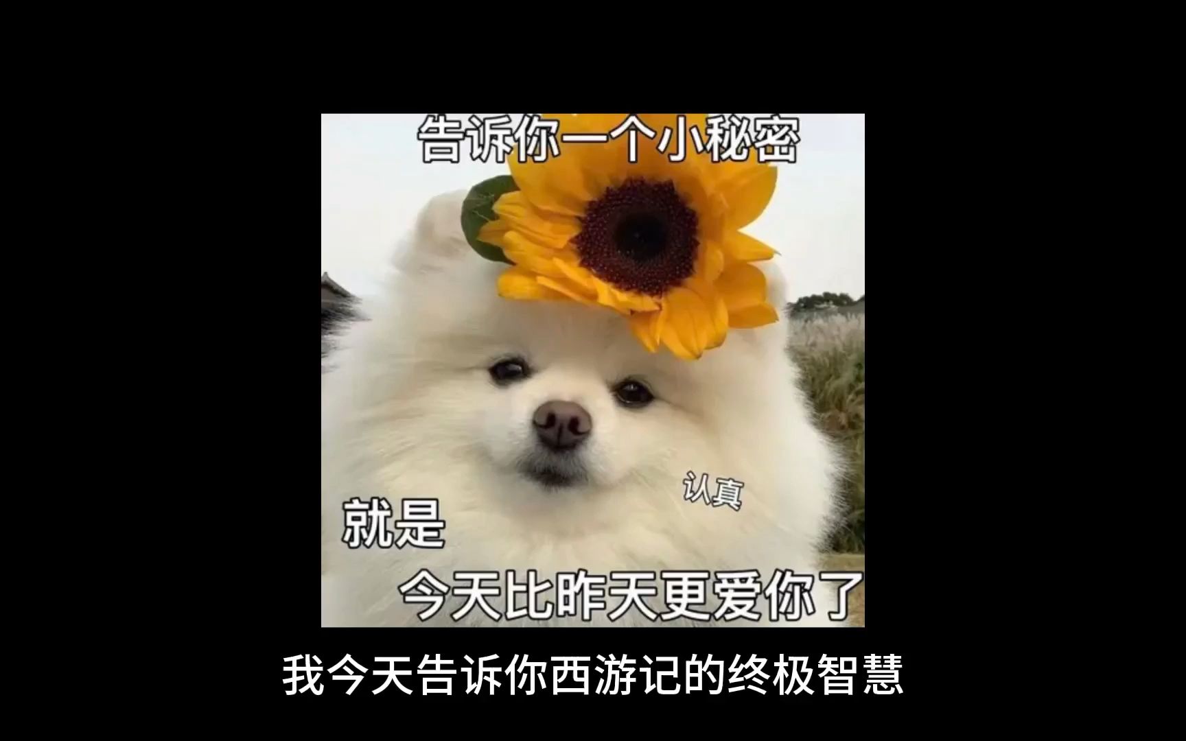 西游记的终极智慧哔哩哔哩bilibili