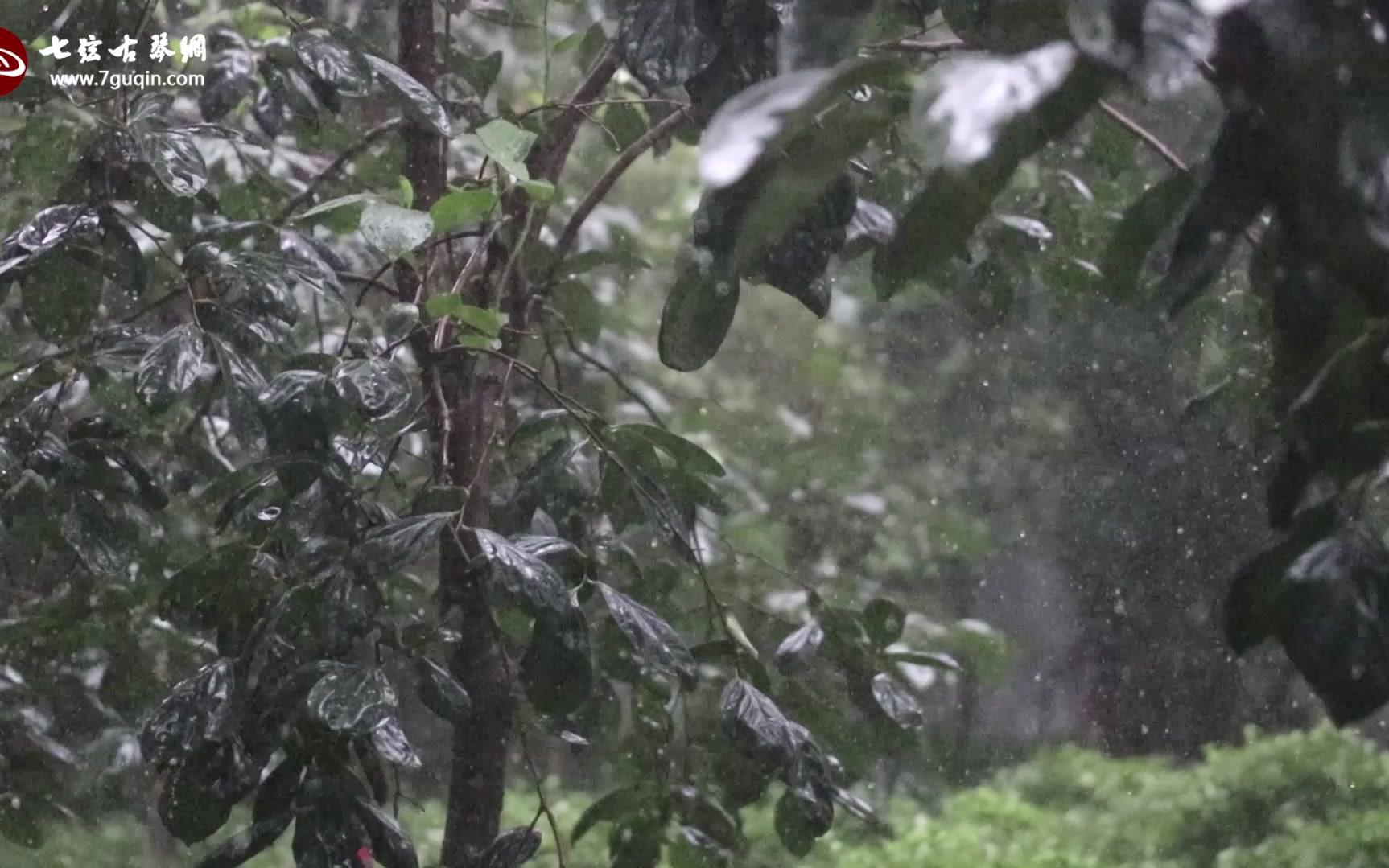 一曲《雨霖铃》多情自古伤离别,更那堪冷落清秋节 !哔哩哔哩bilibili