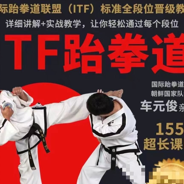 ITF跆拳道教程国跆盟全段位从新手初学入门到实战精通格斗搏击武_ 