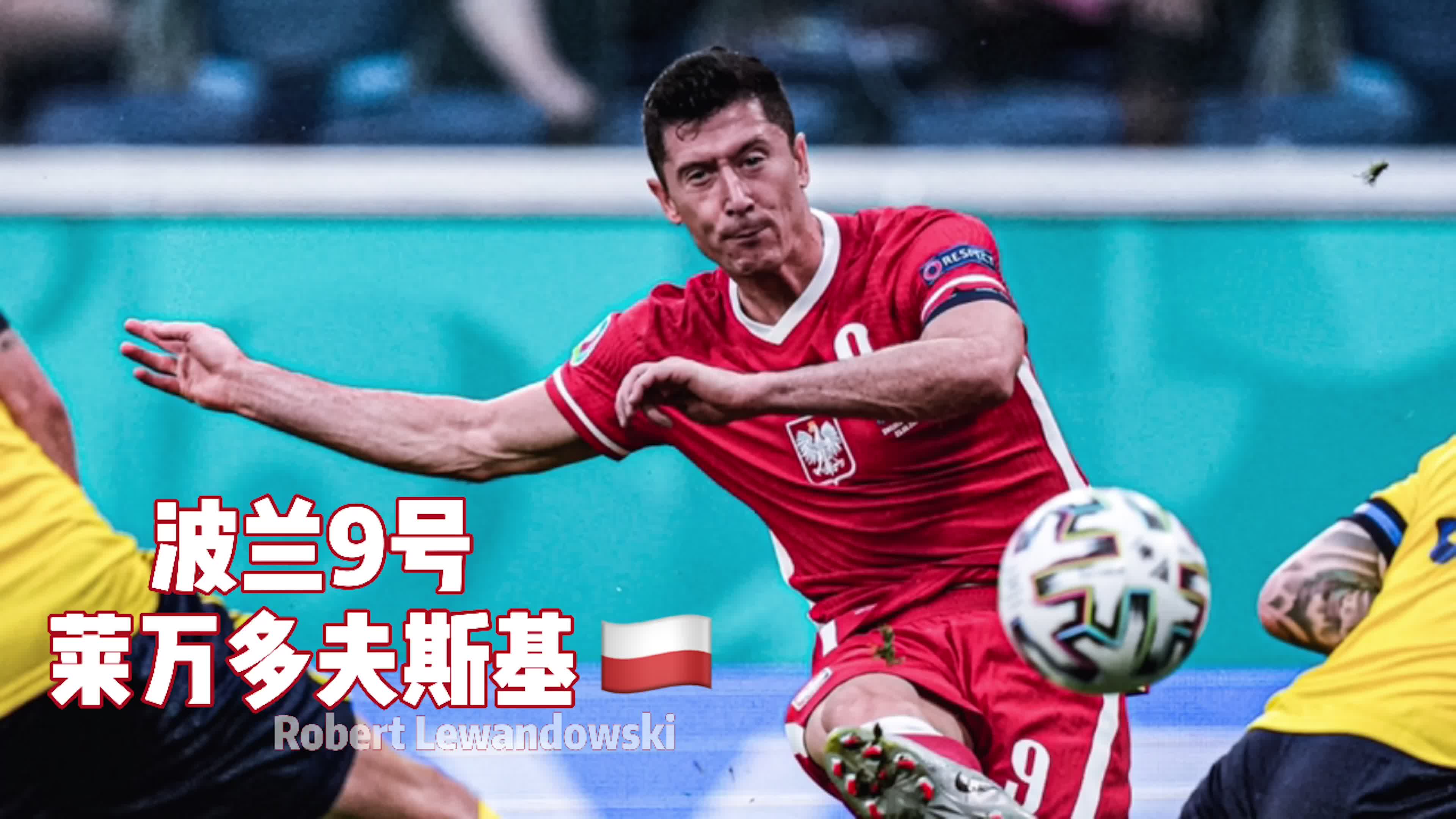 波兰9号神锋莱万多夫斯基(robert lewandowski),世界足球先生,他是你