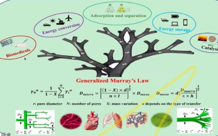 20210330那慕尔大学苏宝连Hierarchy for maximized efficiency in nanocatalysisand green..哔哩哔哩bilibili