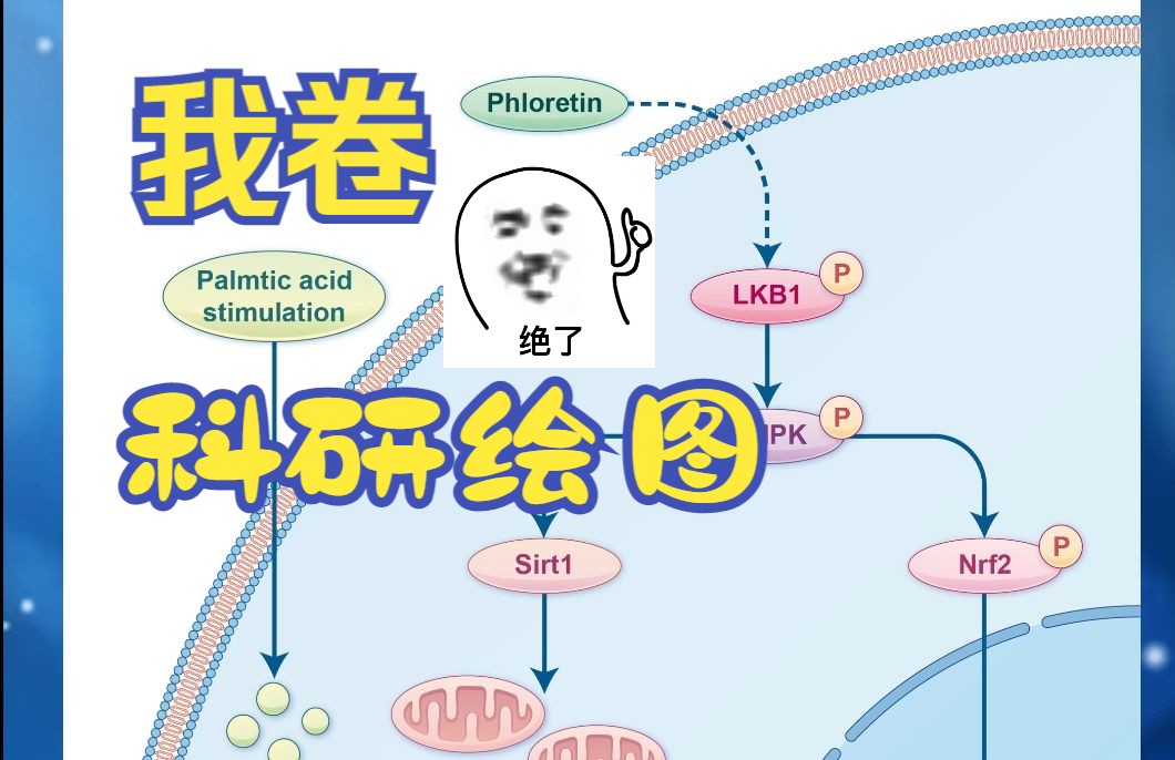 当我的朋友们忙着通关黑神话悟空的时候,我已经卷完一张论文配图啦哔哩哔哩bilibili