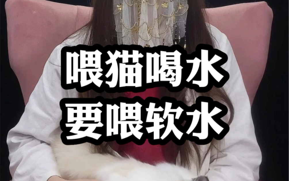 喂猫喝水,要喝软水哔哩哔哩bilibili