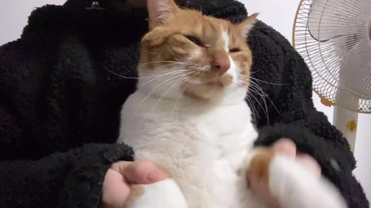 你kin你擦 和十七的决斗日常