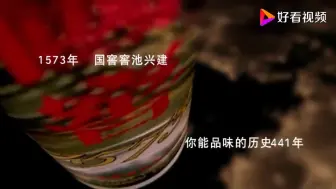 Video herunterladen: [搞笑视频]国窖1573——美女配音