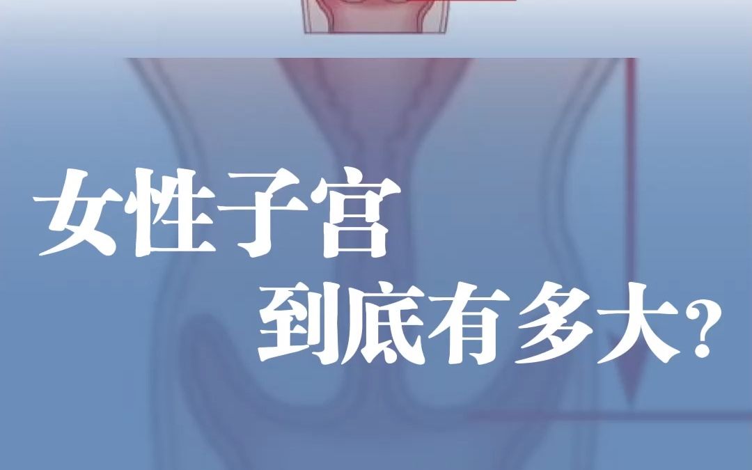 女性子宫到底有多大?