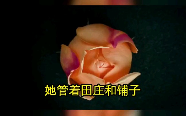 【上错花轿嫁病弱权臣,被宠冠京城】一睁眼,沈青檀重生在大婚之日.前世青梅竹马的未婚夫赵钰陷害自己,并设计活活烧死了自己.重活一世,看她如何...