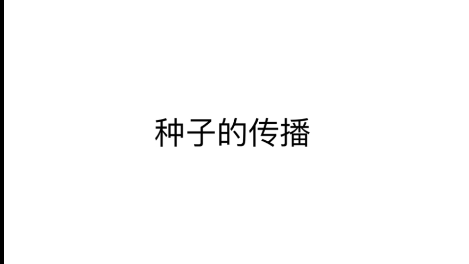 种子的传播哔哩哔哩bilibili