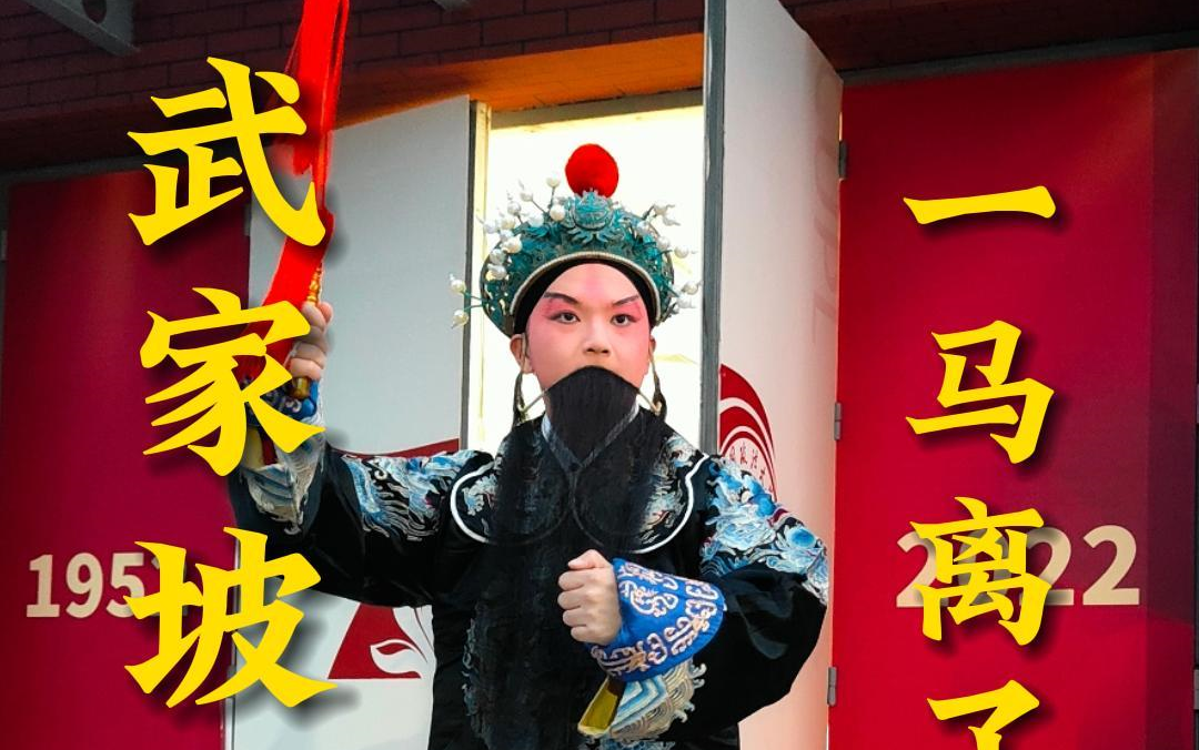 武家坡·一马离了西凉界