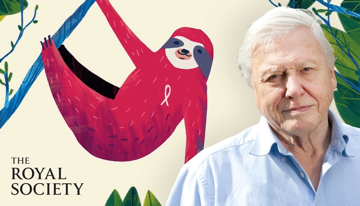 [中英双语]为什么生物多样性很重要?Why is biodiversity important  with Sir David Attenborough哔哩哔哩bilibili