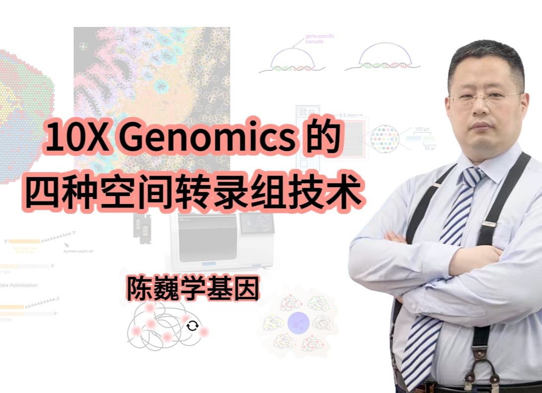 【陈巍学基因】视频127: 10X Genomics 的四种空间转录组技术哔哩哔哩bilibili