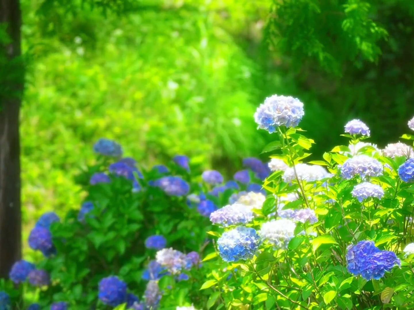 [图]“盛开的不是花 ，是对你漫山遍野的喜欢”