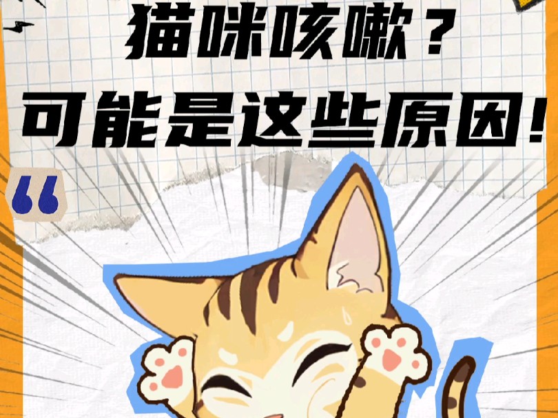 猫咪咳嗽不用怕看这里就对了哔哩哔哩bilibili