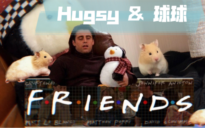 【仓鼠金丝熊】今天是Hugsy和球球的对手戏哔哩哔哩bilibili