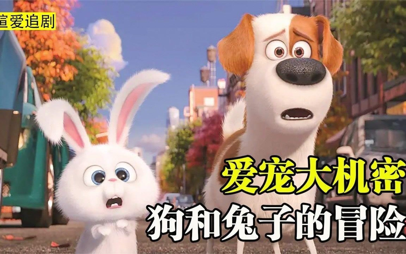 狗狗和兔子的动画片图片