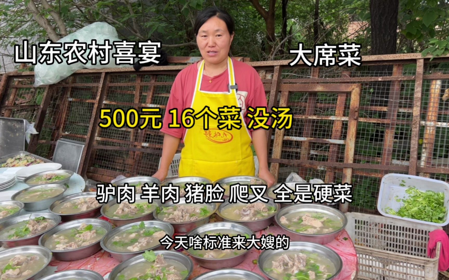山东菏泽喜宴大席菜,500元16个菜没汤,驴肉、羊肉爬叉猪脸都有-小钉探美食-小钉探美食-哔哩哔哩视频