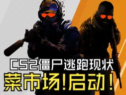 Download Video: CS2僵尸逃跑现状