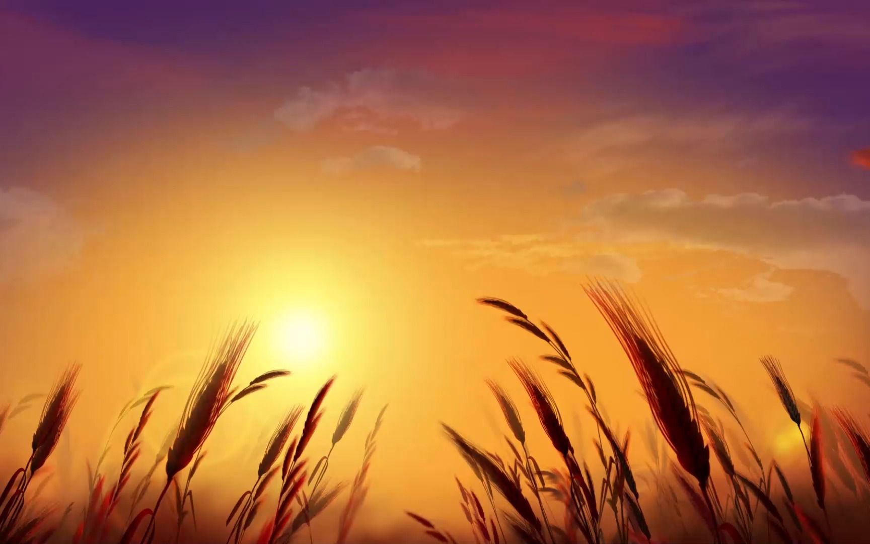 周杰伦 - 稻香 伴奏版led舞台背景视频2724