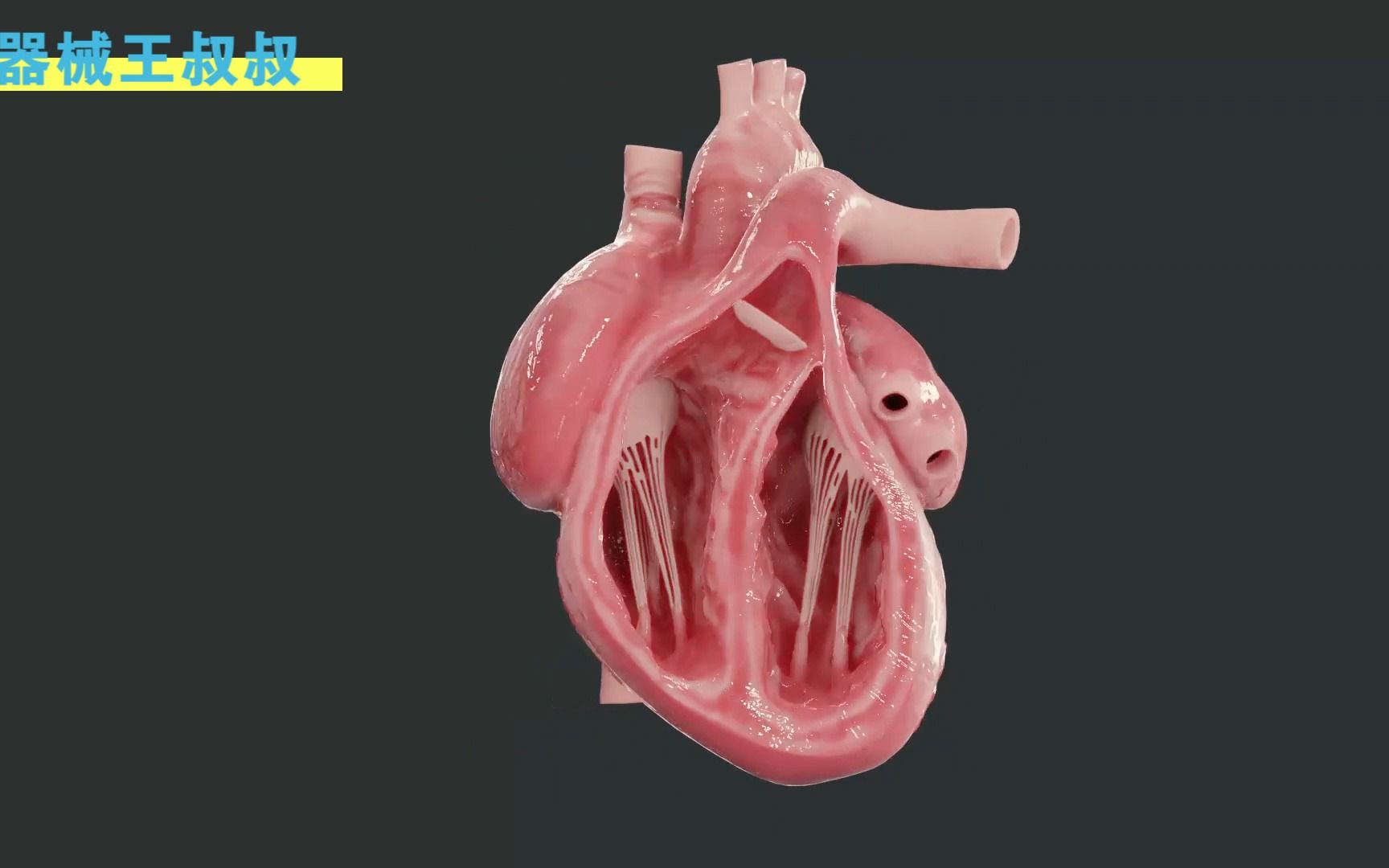 超燃 围观30秒人工心脏建模 #黑科技 #人工心脏 #3D建模 #医疗器械哔哩哔哩bilibili