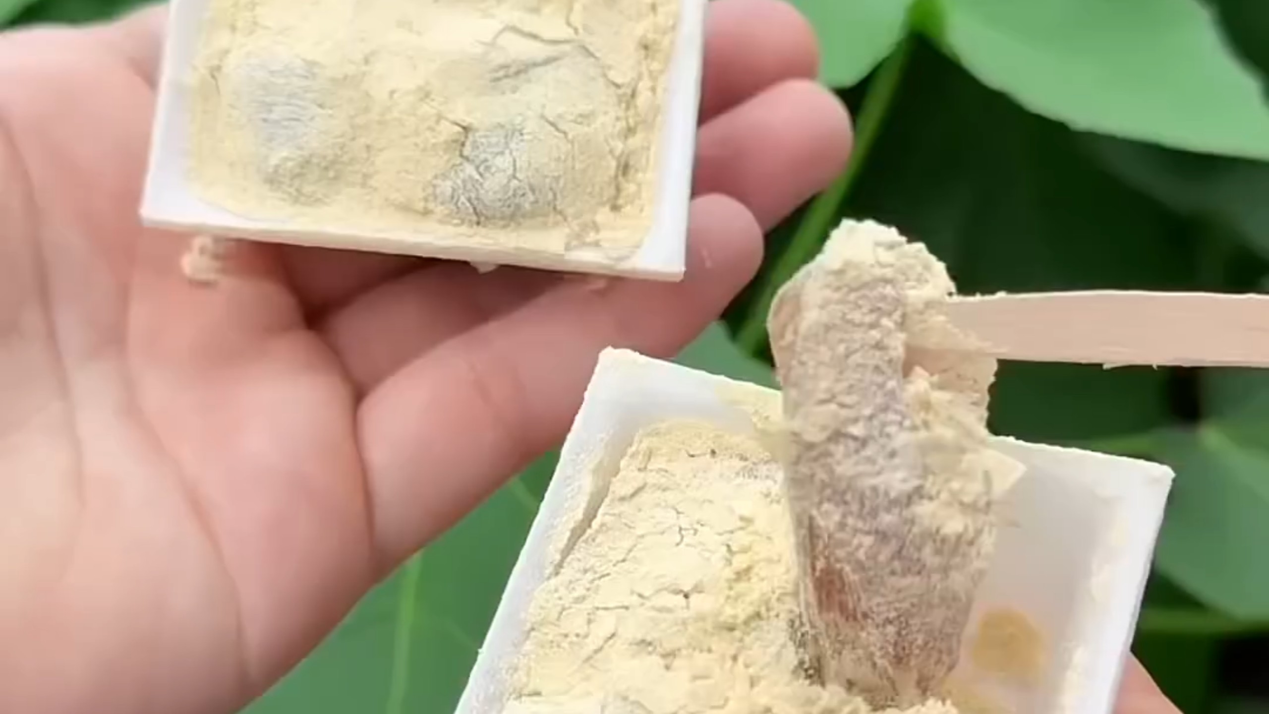 赤门麻糬，一位传统的日本点心制作匠人，正在将技艺传承给下一代。