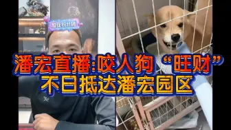 Video herunterladen: 潘宏直播:咬人恶犬“旺财”！入选潘宏园区！不日抵达！