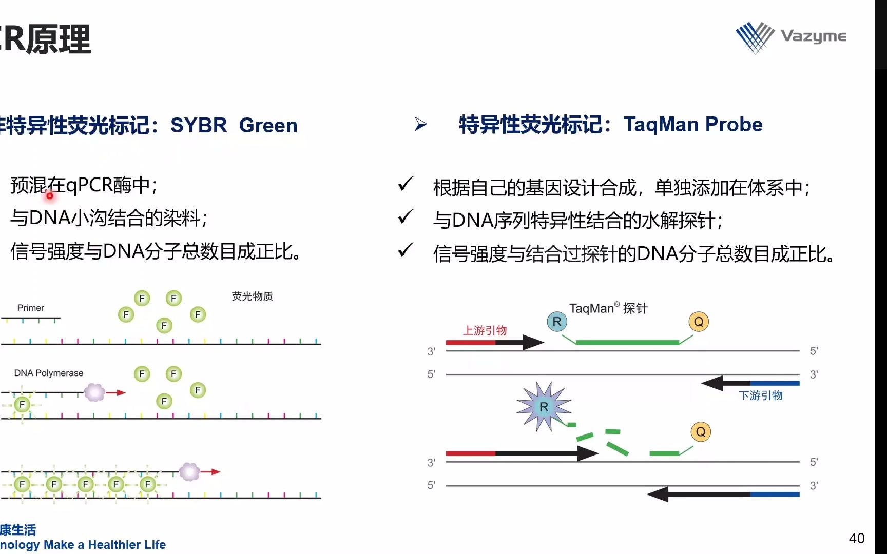 荧光定量PCR原理及应用诺唯赞20220427哔哩哔哩bilibili