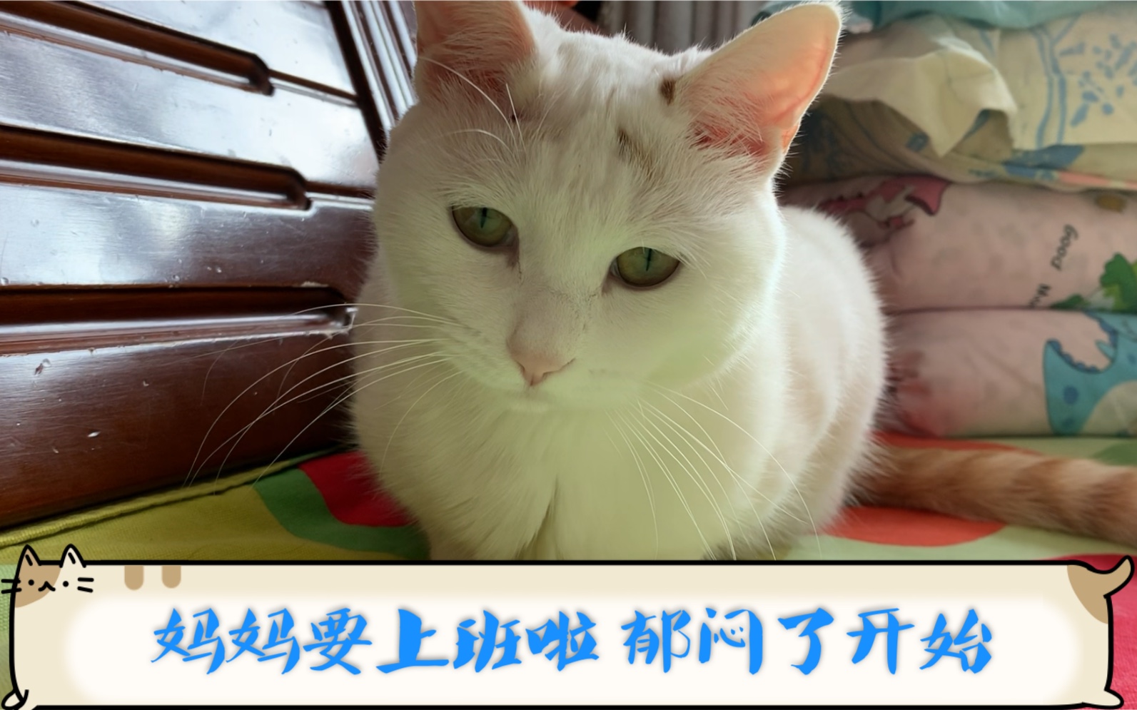 小乖乖有点郁闷了