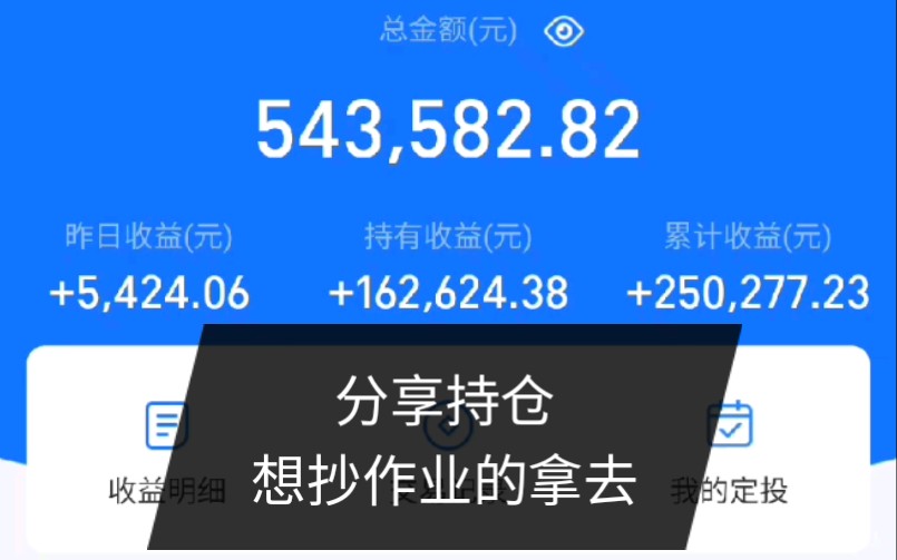 30万的基金,收益25万,都买了什么?哔哩哔哩bilibili