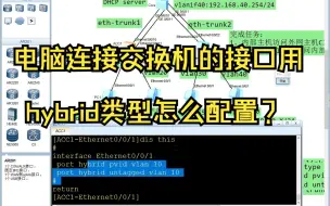 Download Video: 电脑连接交换机的接口用hybrid类型怎么配置？