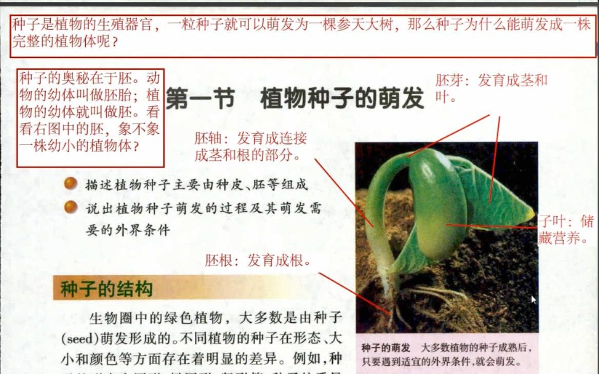 [图]5.1七上生物苏教版植物种子的萌发