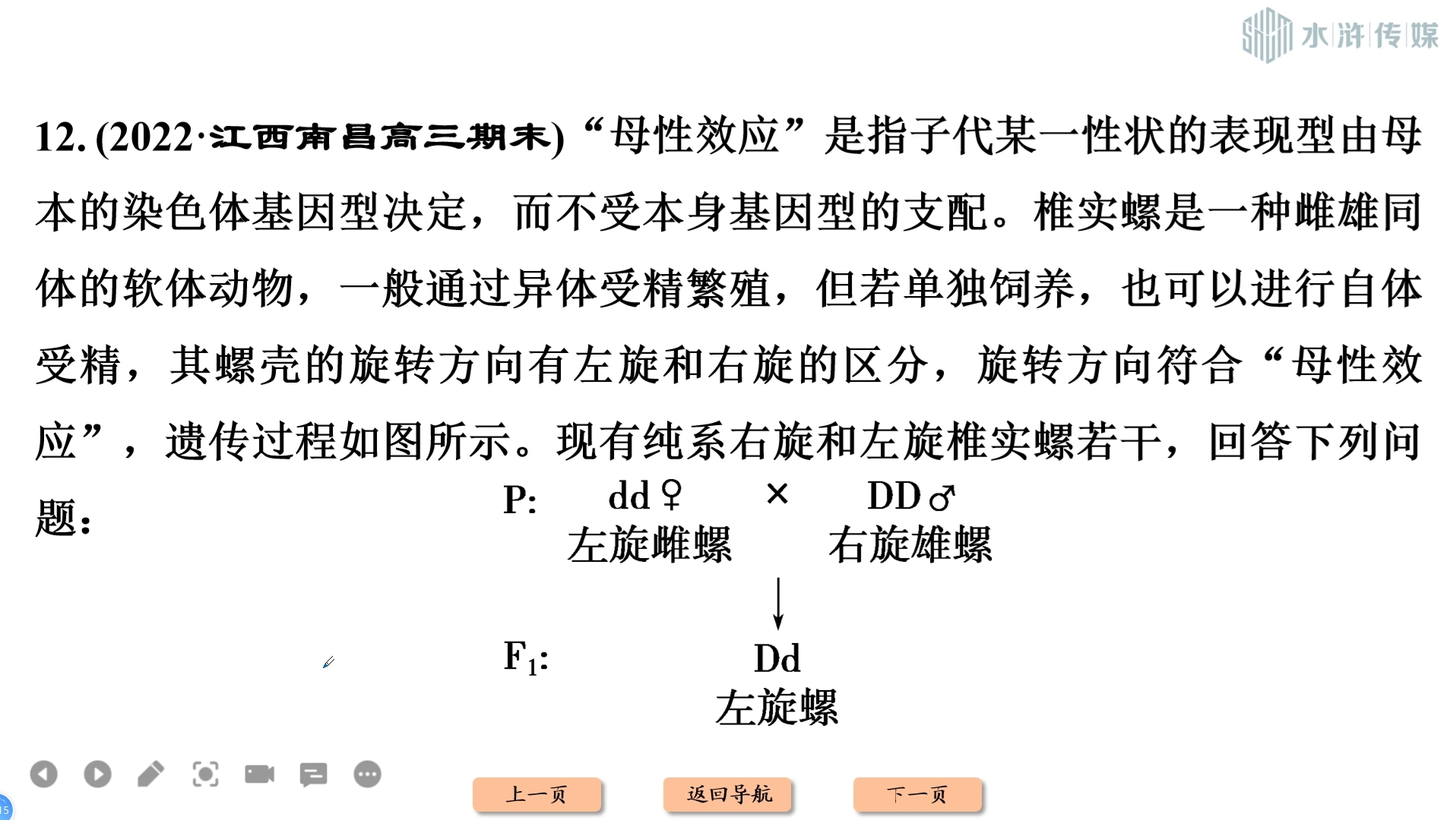 ＂母性效应”是指子代某一性状的表现型由母本的染色体基因型决定,而不受本身基因型的支配.椎实螺是一种雌雄同体的软体动物,一般通过异体受精繁...