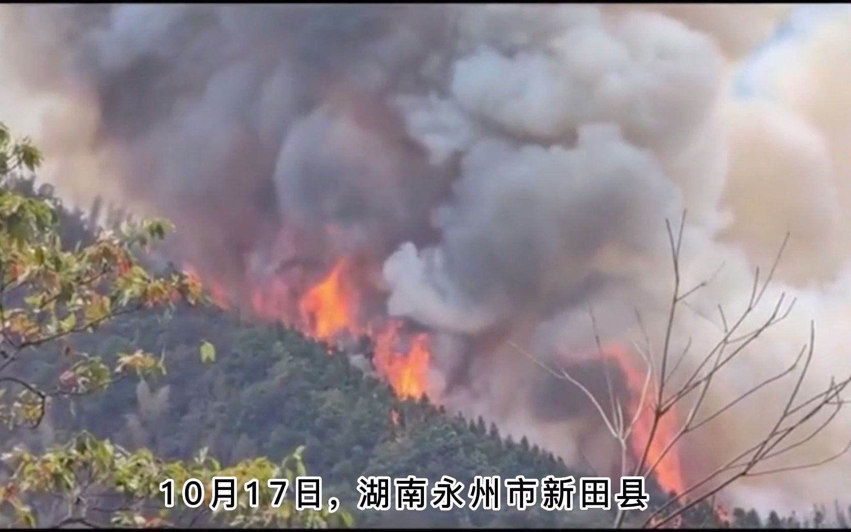 [图]湖南永州市新田县发生了特大森林火灾，大火连续烧了几天几夜