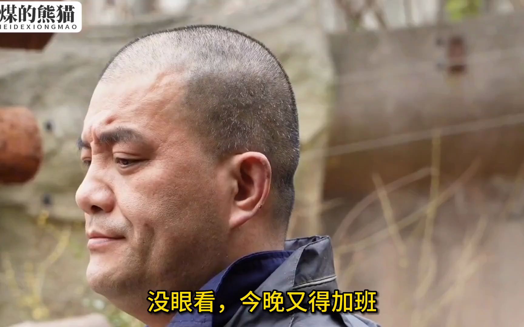 谭爷爷手下的熊猫都是挖煤的高手