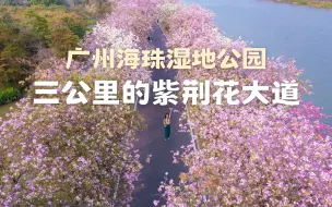 Télécharger la video: 广州海珠湿地公园🌸三公里粉色紫荆大道