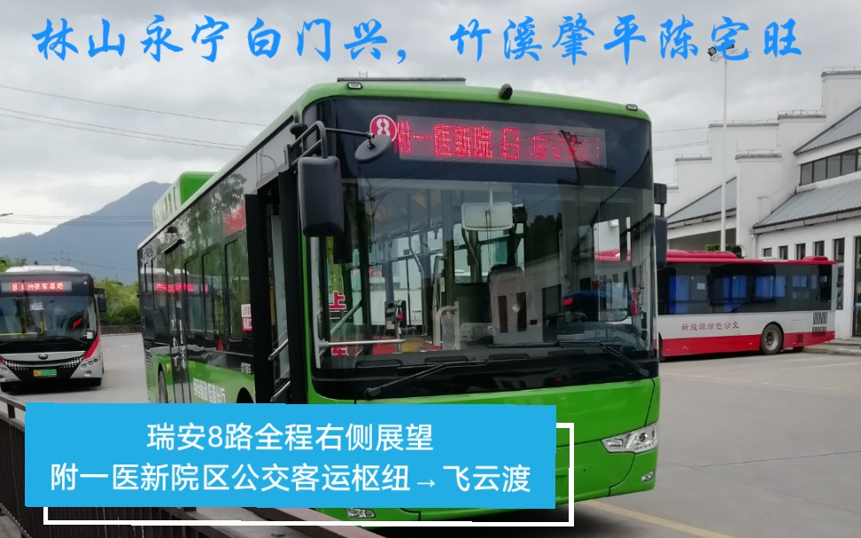 【温州公交】林山永宁白门兴,竹溪肇平陈宅旺 瑞安8路全程右侧展望