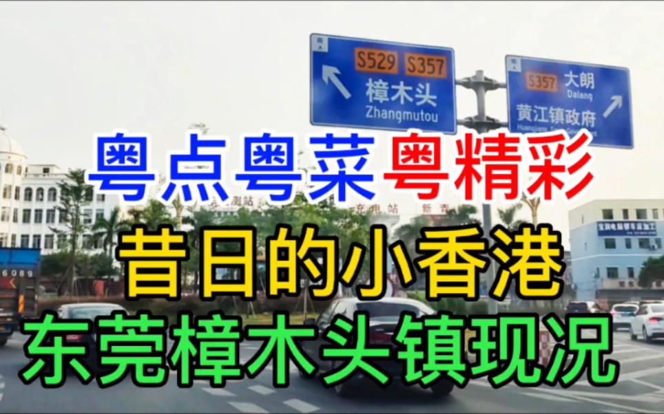 粤点粤菜粤精彩,昔日的小香港,东莞樟木头镇现况,粤语中字幕哔哩哔哩bilibili