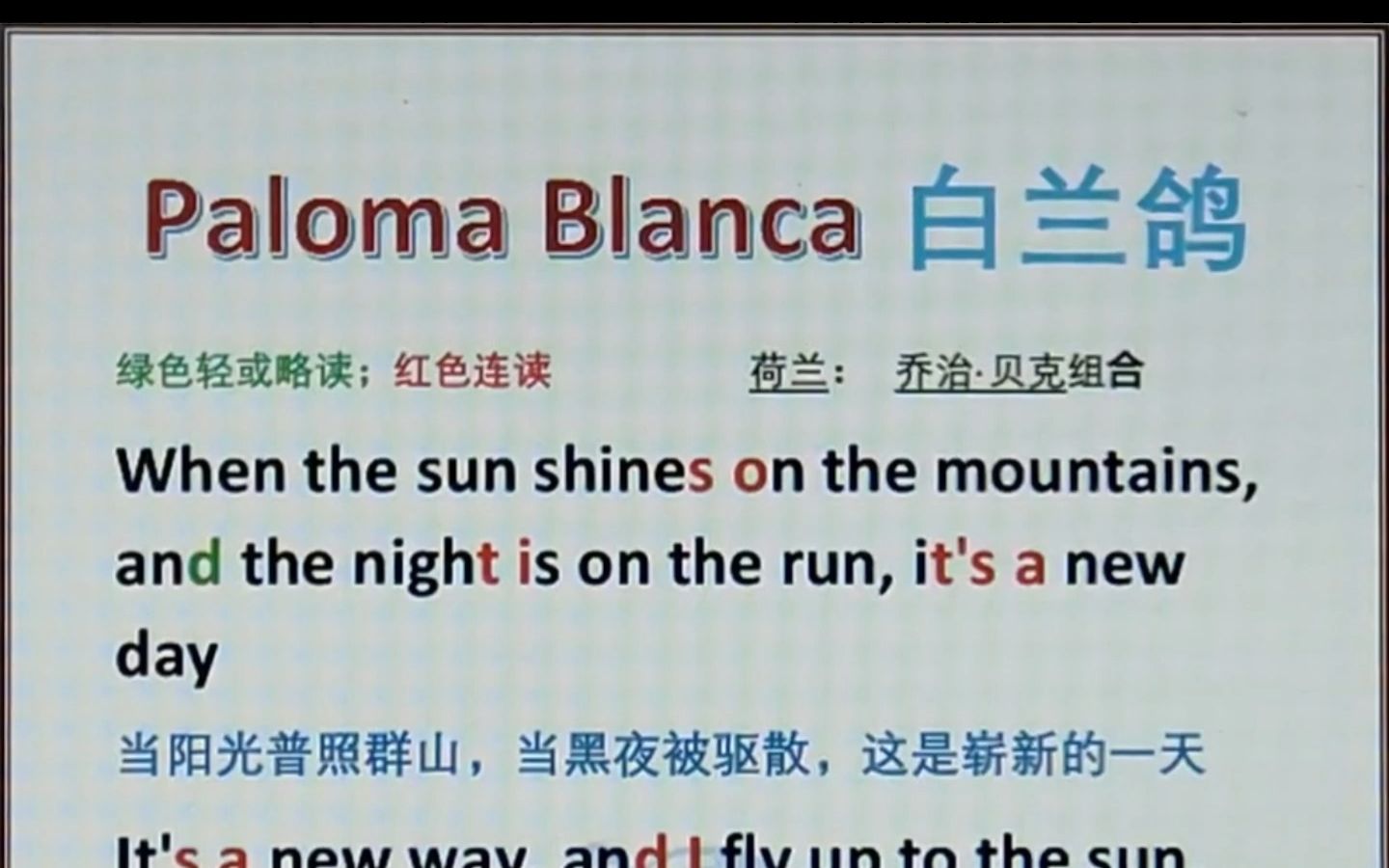 [图]白兰鸽 高清 Paloma Blanca