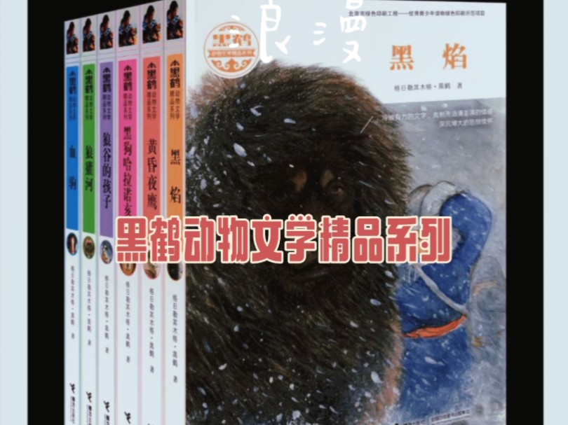 黑鹤动物文学精品系列哔哩哔哩bilibili