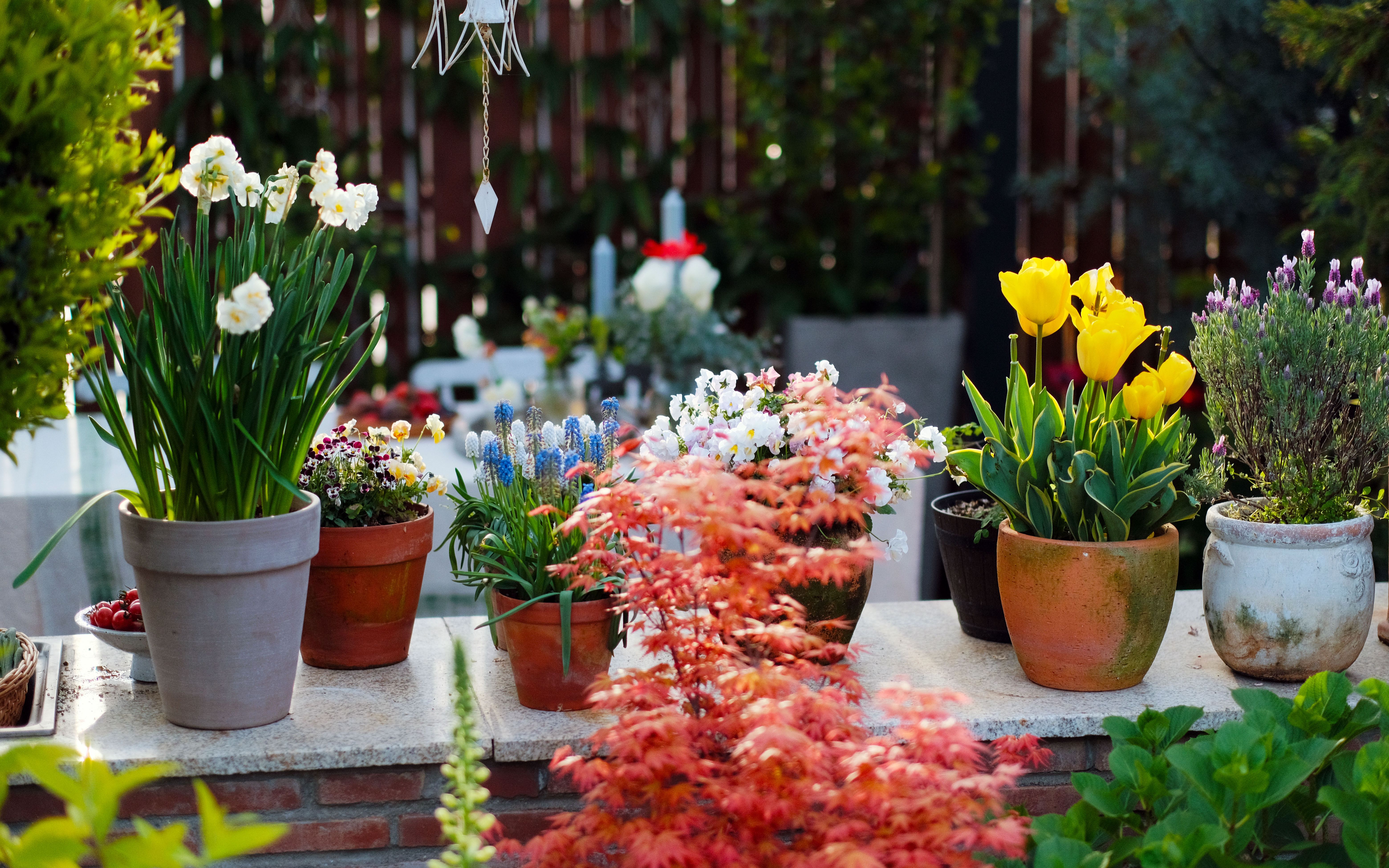 花园六叔六叔的花园工作台