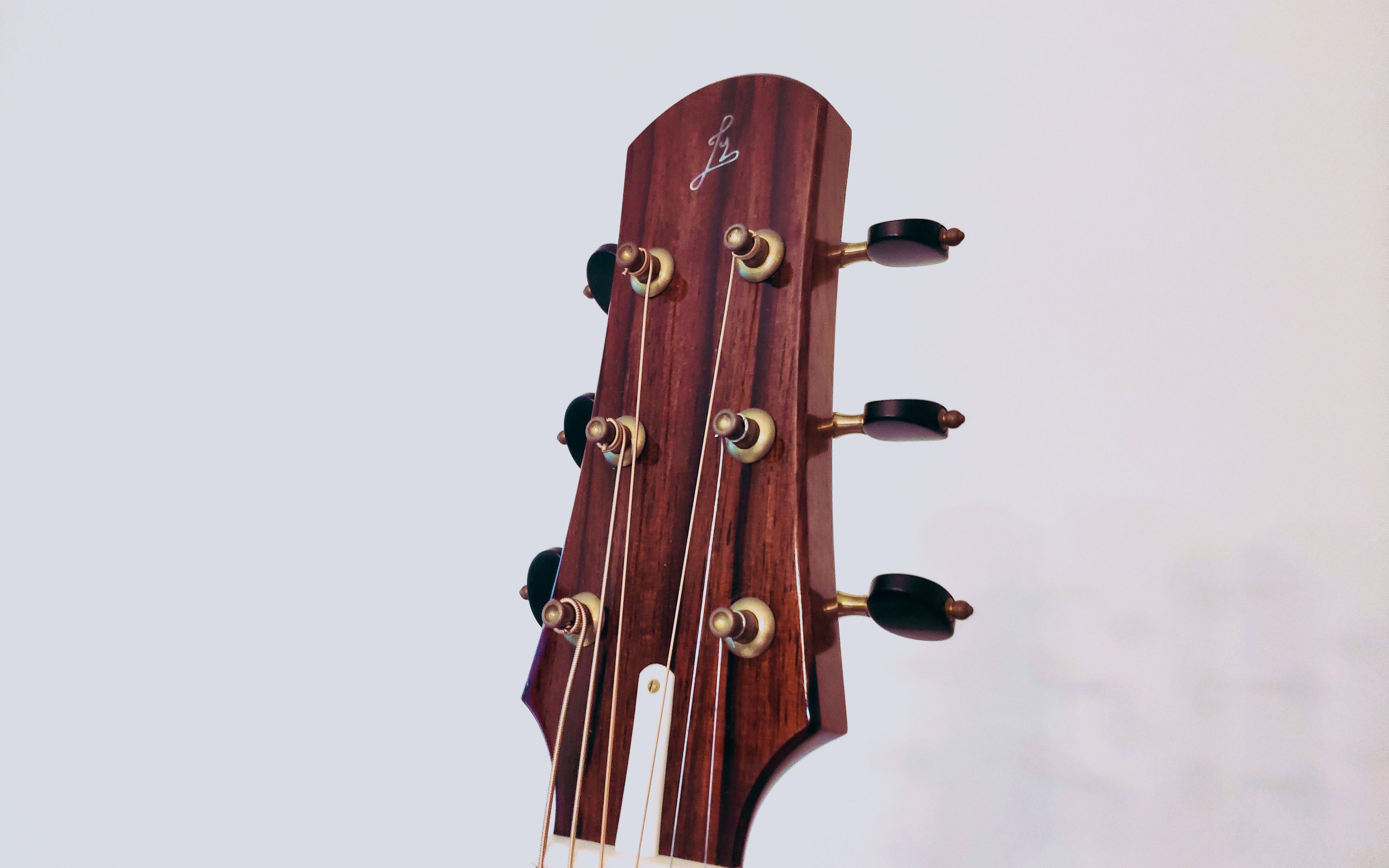 伍伍慧,郑成河都买的吉他!rasmussen model s 生活小片段